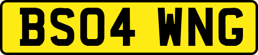 BS04WNG