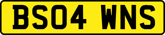 BS04WNS