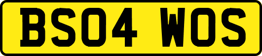 BS04WOS