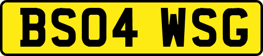 BS04WSG