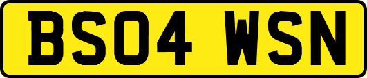 BS04WSN