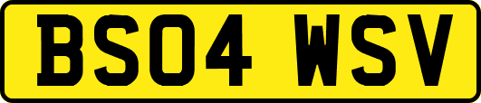 BS04WSV