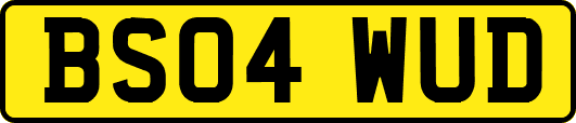 BS04WUD