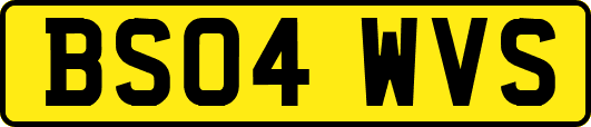 BS04WVS