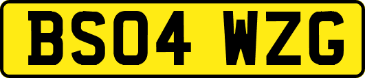 BS04WZG