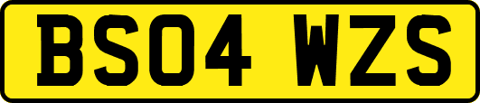 BS04WZS