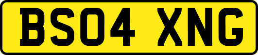 BS04XNG
