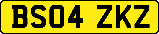 BS04ZKZ
