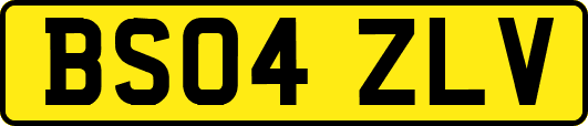 BS04ZLV