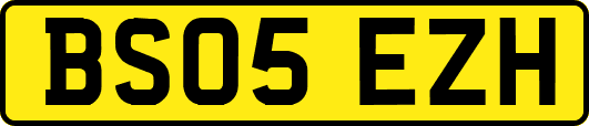 BS05EZH