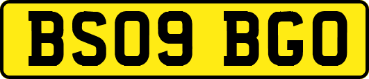 BS09BGO