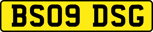 BS09DSG