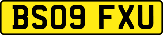 BS09FXU