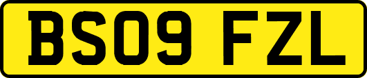 BS09FZL