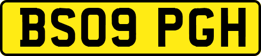 BS09PGH