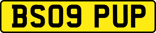 BS09PUP
