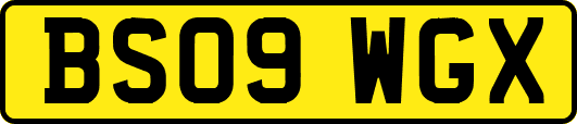 BS09WGX