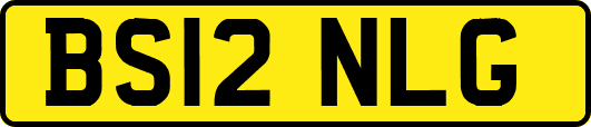 BS12NLG
