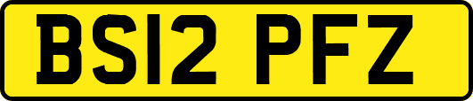 BS12PFZ