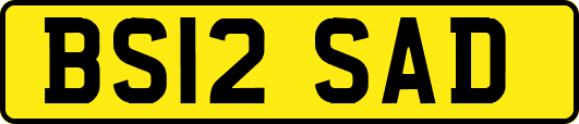 BS12SAD