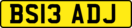 BS13ADJ