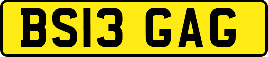 BS13GAG