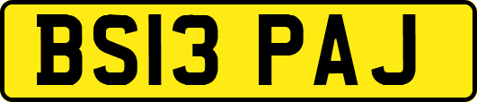 BS13PAJ