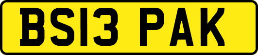 BS13PAK