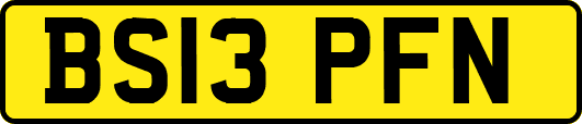 BS13PFN