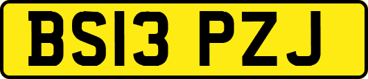BS13PZJ