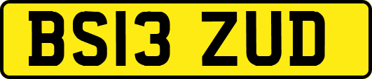 BS13ZUD