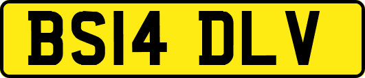 BS14DLV