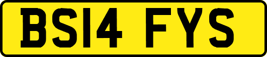 BS14FYS