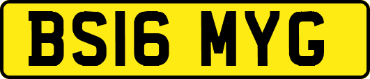 BS16MYG