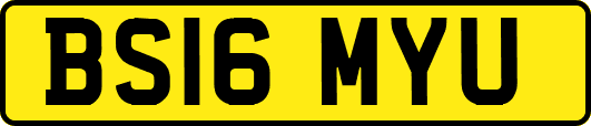 BS16MYU