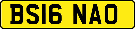 BS16NAO