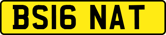 BS16NAT