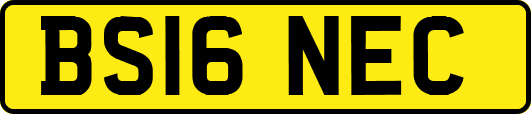 BS16NEC