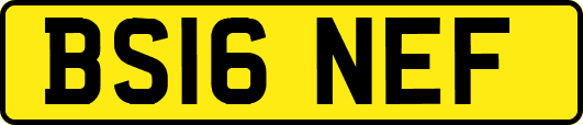 BS16NEF