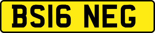 BS16NEG