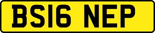 BS16NEP