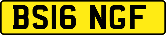 BS16NGF