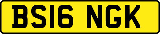 BS16NGK
