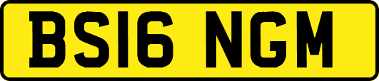 BS16NGM