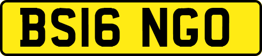 BS16NGO