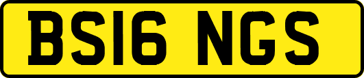 BS16NGS
