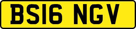 BS16NGV