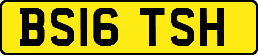 BS16TSH