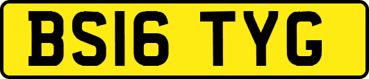 BS16TYG