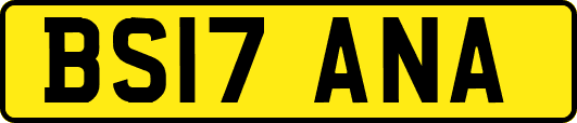 BS17ANA